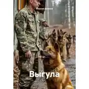 Постер книги Выгула