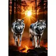 Постер книги У волков свои законы