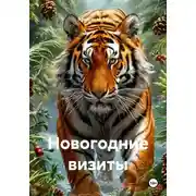 Постер книги Новогодние визиты