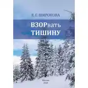Постер книги Взорвать тишину