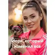 Постер книги Йорк, который изменил все