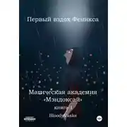 Постер книги Магическая академия Мэндоксай