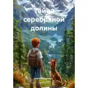 Постер книги Тайна серебряной долины