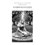 Постер книги Хозяин колодцев
