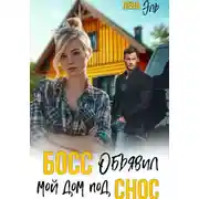 Постер книги Босс определил мой дом под снос