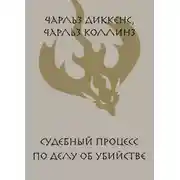 Постер книги Судебный процесс по делу об убийстве