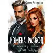 Постер книги Измена. Развод: Я осколки твоих чувств соберу