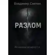 Постер книги Разлом