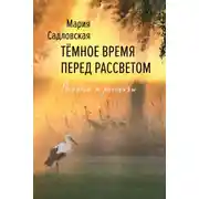 Постер книги Тёмное время перед рассветом