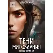 Постер книги Тени мироздания. Колесо времени
