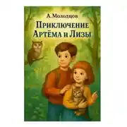 Постер книги Приключение Артема и Лизы