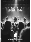 Филипп Краснов - Black Lily