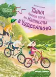 Ирина Гурина - Тайна Черной горы, или Каникулы в Чудесатово