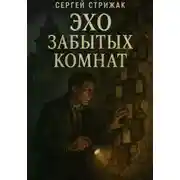 Постер книги Эхо забытых комнат