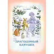 Постер книги Драгоценный камушек
