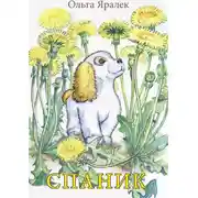 Постер книги Спаник