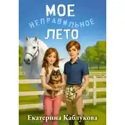 Постер книги Мое неправильное лето