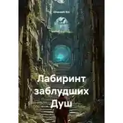 Постер книги Лабиринт заблудших Душ