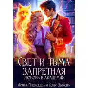 Постер книги Свет и Тьма. Запретная любовь в академии