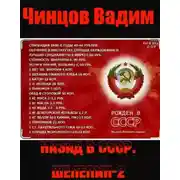 Постер книги Назад в СССР. Шелепин-2