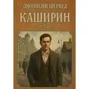Постер книги Каширин