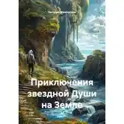 Постер книги Приключения звездной Души на Земле