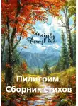 Олег Ильин - Пилигрим. Сборник стихов