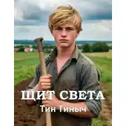 Постер книги Щит света