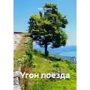 Постер книги Угон поезда