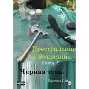 Постер книги Преступление и воздаяние. Книга 2. Черная тень