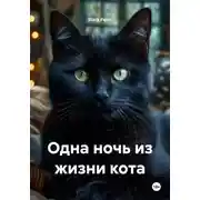 Постер книги Одна ночь из жизни кота