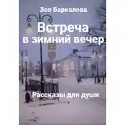 Постер книги Встреча в зимний вечер