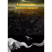 Постер книги В оранжевых лучах последнего меридиана