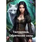 Постер книги Тилларина. Обретение силы