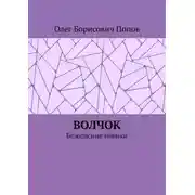 Постер книги Волчок. Безопасные навыки