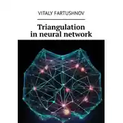 Постер книги Triangulation in neural network