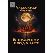 Постер книги В пламени брода нет