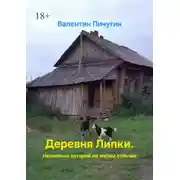 Постер книги Деревня Липки. Несколько историй из жизни сельчан