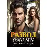 Постер книги Развод. Осколки идеальной жизни