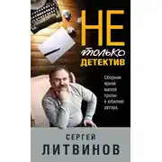 Постер книги Не только детектив
