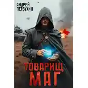 Постер книги Товарищ маг