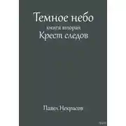 Постер книги Темное небо. Книга вторая. Крест следов