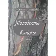 Постер книги Молодость взаймы
