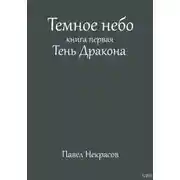 Постер книги Темное небо. Книга первая. Тень дракона
