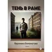 Постер книги Тень в раме