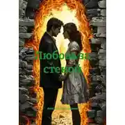 Постер книги Любовь за стеной
