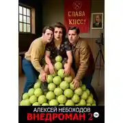 Постер книги Внедроман 2