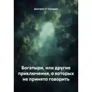 Постер книги Богатыри, или Другие приключения, о которых не принято говорить