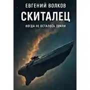 Постер книги Скиталец