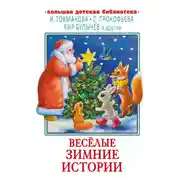 Постер книги Весёлые зимние истории